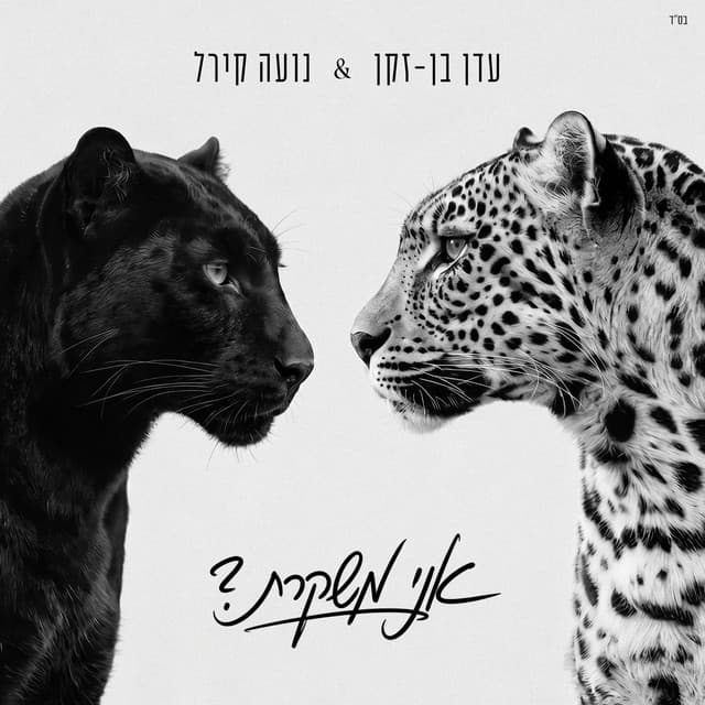 אני משקרת? — Noa Kirel